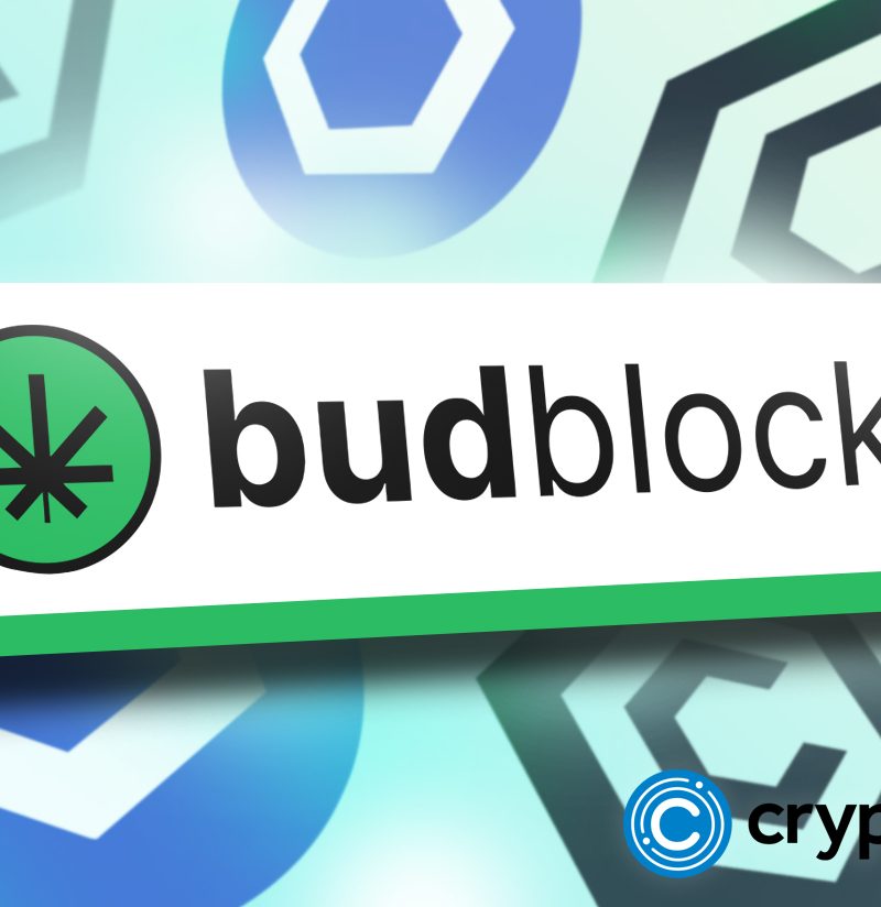BudBlockz preferred to Cronos and Chainlink?