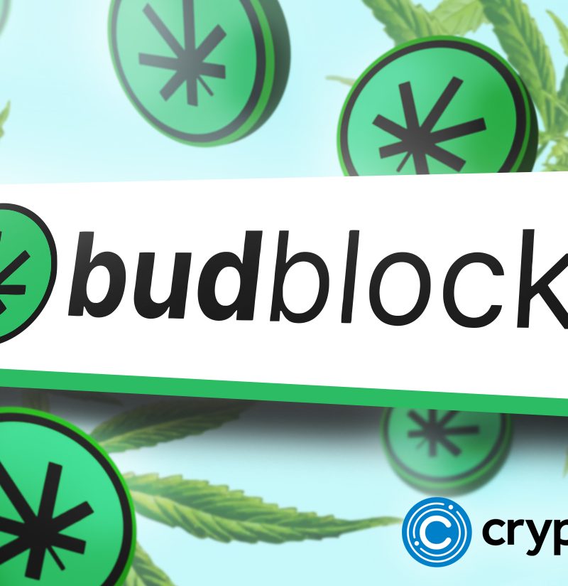 Bitcoin whales think BudBlockz is the best altcoin to hold in your portfolio for 2023